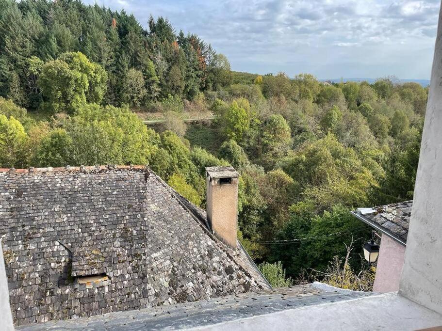 Maison De Village Avec Vue 4/5 Personnes Lou Rouchou Voutezac Zewnętrze zdjęcie